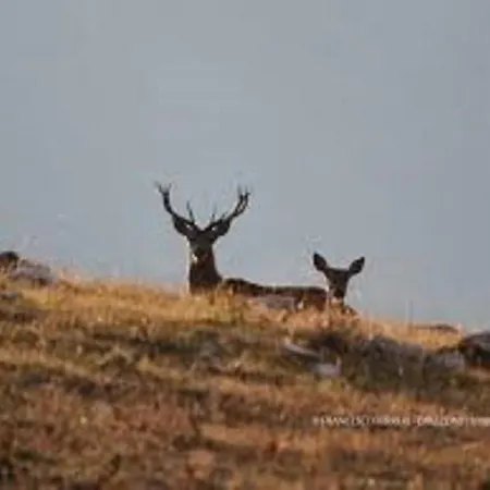 Iris Apartment, Parco Velino Sirente Celano