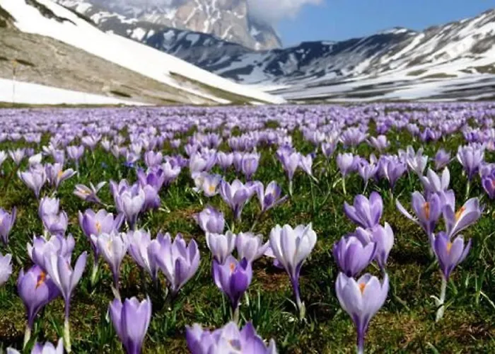 Iris Apartment, Parco Velino Sirente Appartement