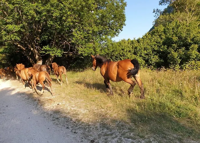 Iris Apartment, Parco Velino Sirente