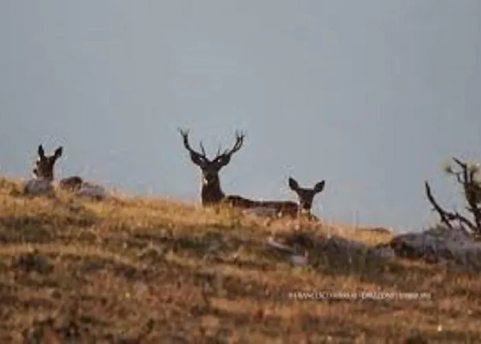 Iris Apartment, Parco Velino Sirente Celano